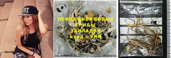 соль ск Алексин